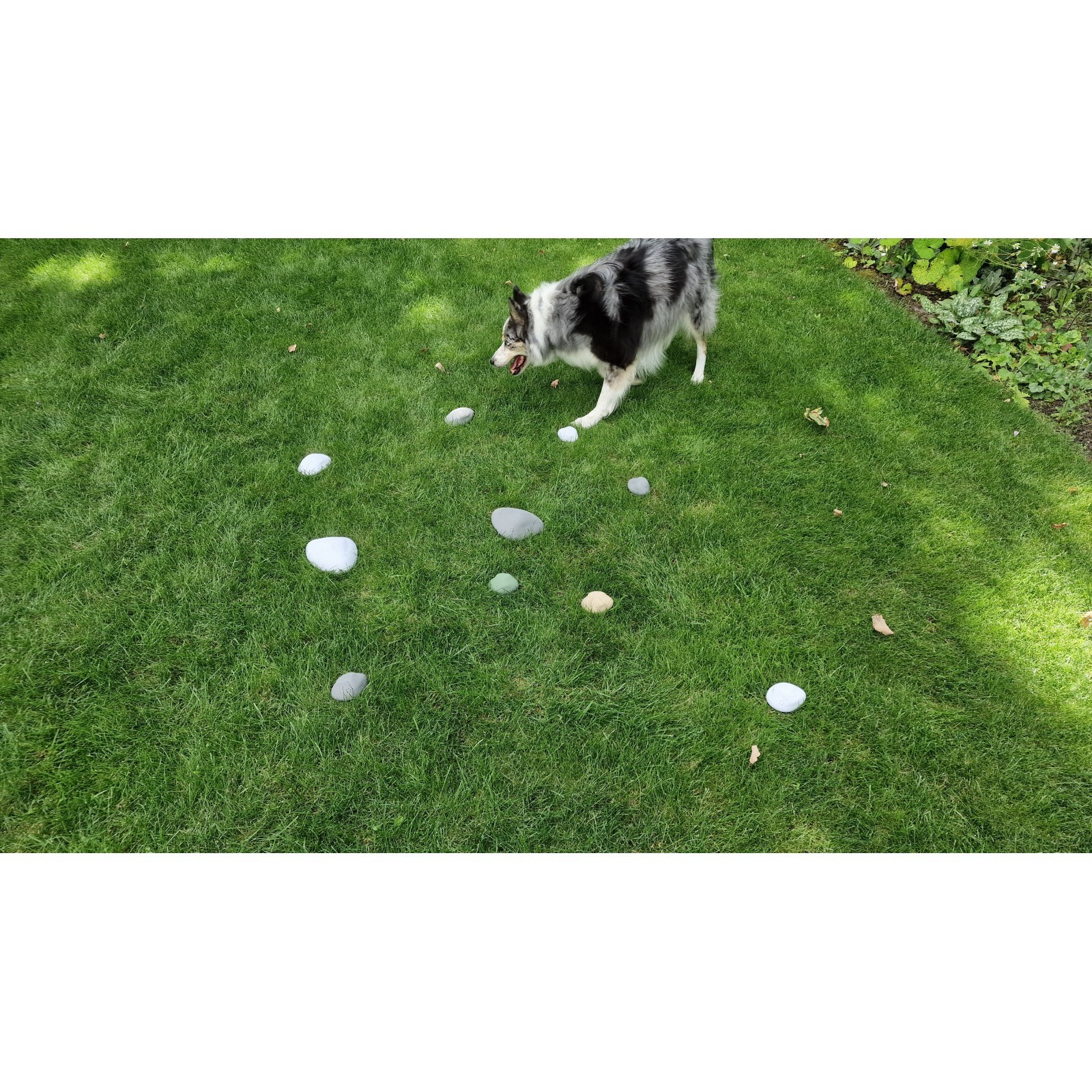 Customer Review Image