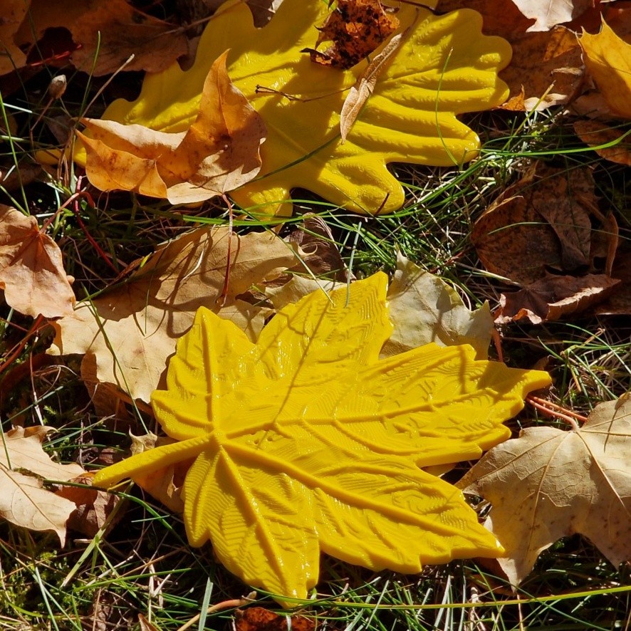 Customer Review Image