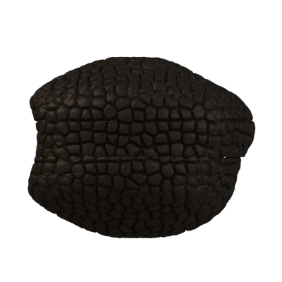 mala-trufla-nosework-scentwork-for-dogs.webp