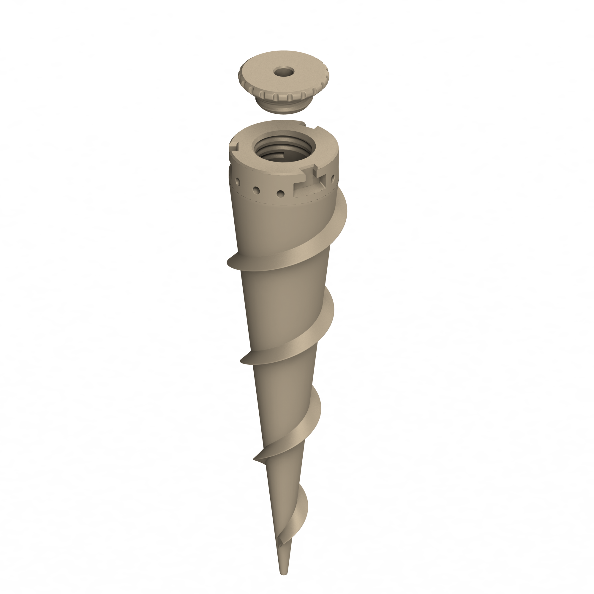Oak.png