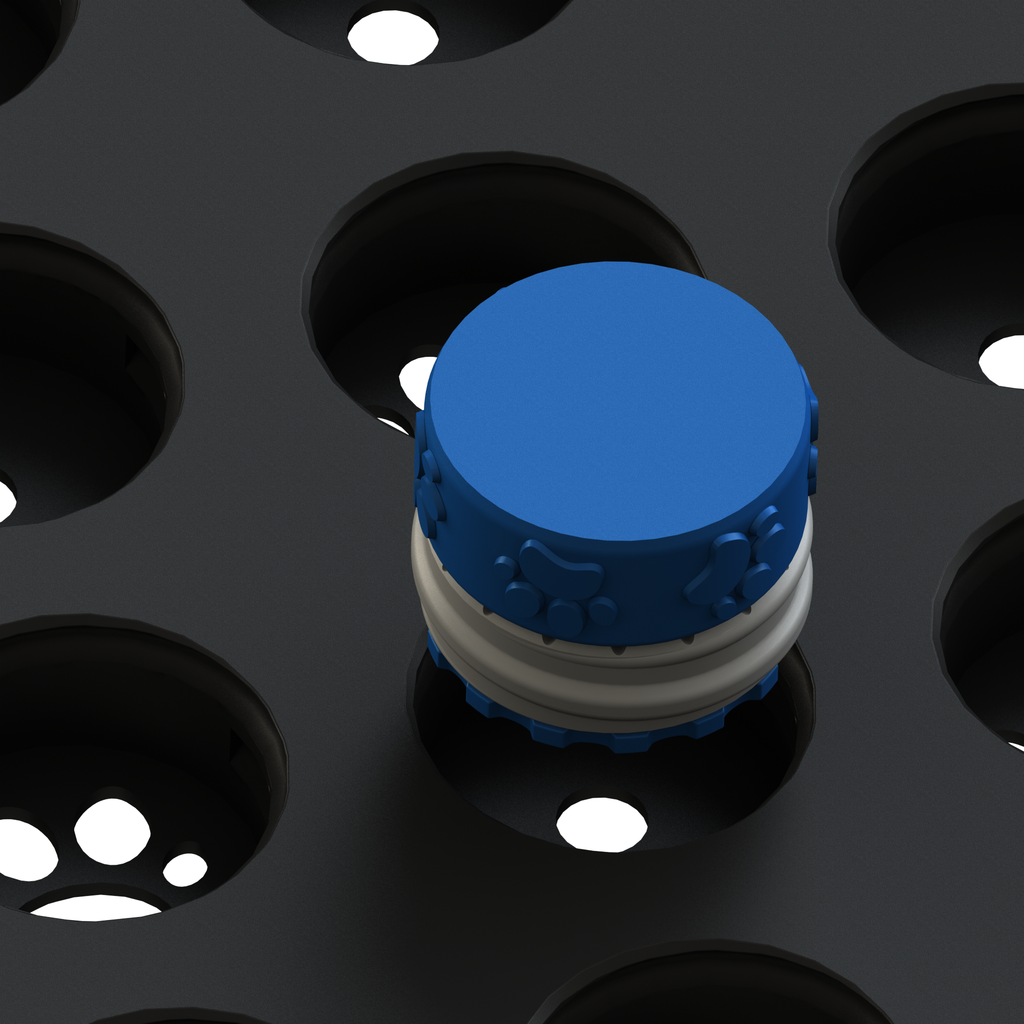 13.png