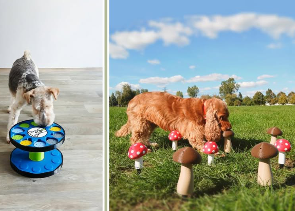 Cynamonowy Nosek — zajęcia na produktach Fluo Dog