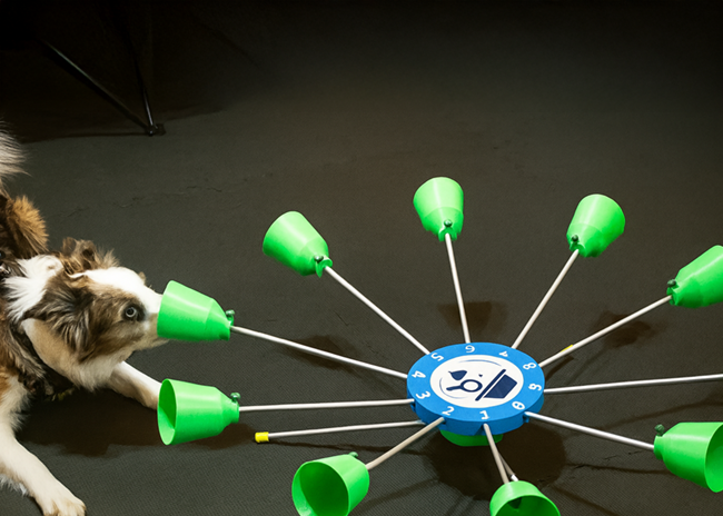 Przykładowe zdjęcie 1