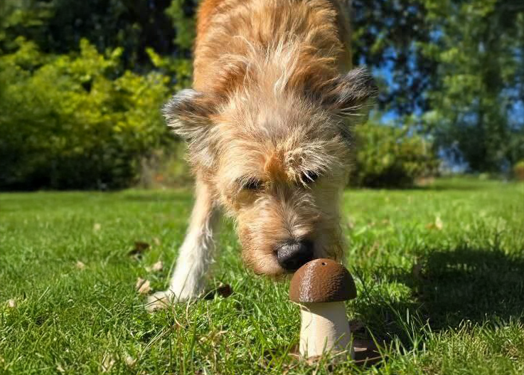 Przykładowe zdjęcie 1